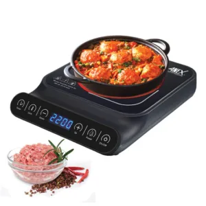 Anex AG-2166EX Deluxe Hot Plate